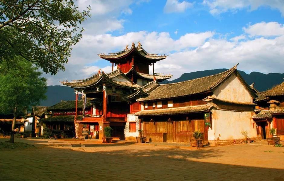 饥饿的哈利